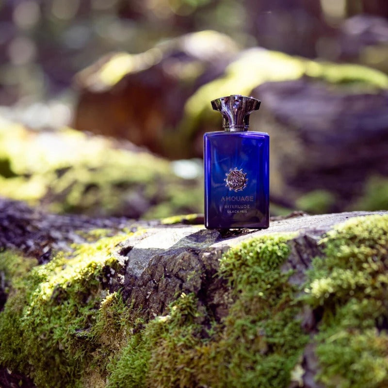 Luxury 100ml Arabian Niche Perfume for Men & Women